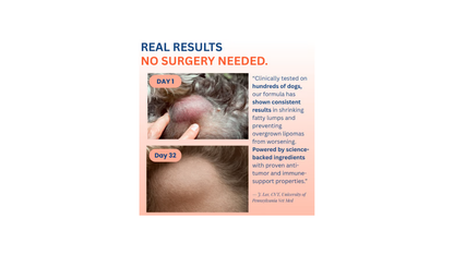 Puravia Turkey Tail Probiotic