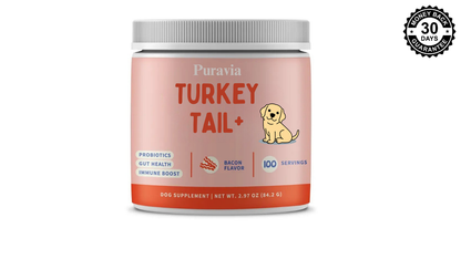 Puravia Turkey Tail Probiotic